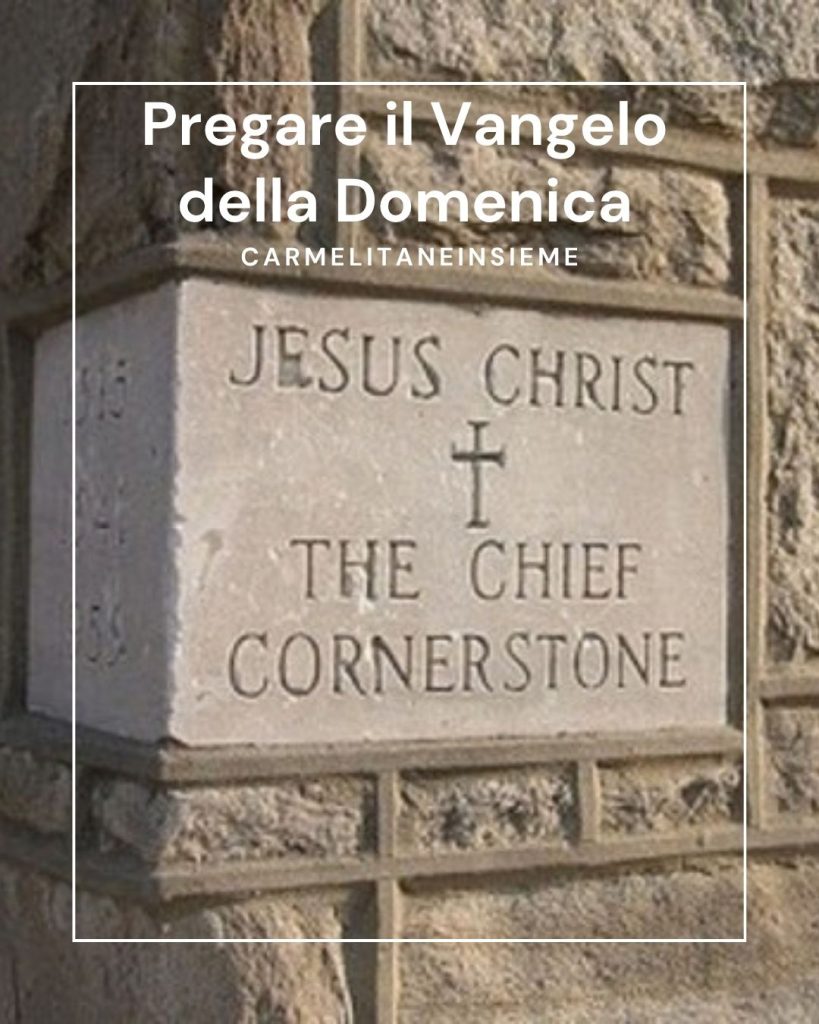 Pregare il Vangelo della XXVII Domenica: UN AMORE CHE CAMBIA LA VITA